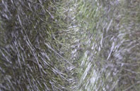 Wolfhampcote fibreglass roof work